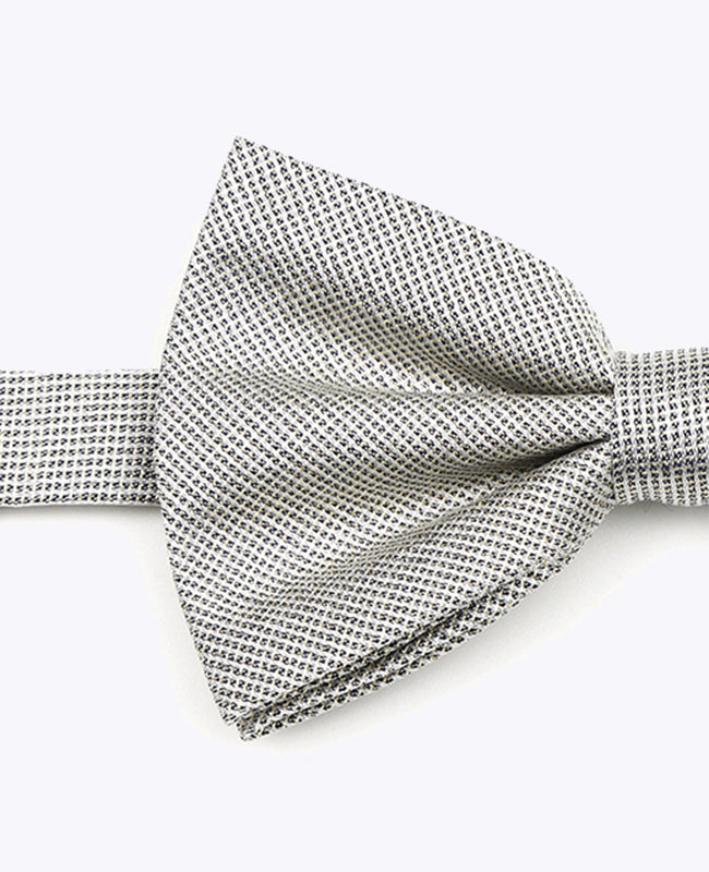 Noeud Papillon à Paillette Argent n°1 Homme en Polyester | Léonard - Unipap's