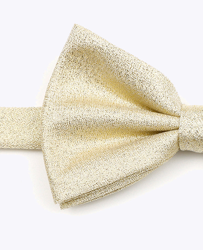 Noeud Papillon à Paillette Doré n°3 Homme en Polyester | Isidore - Unipap's