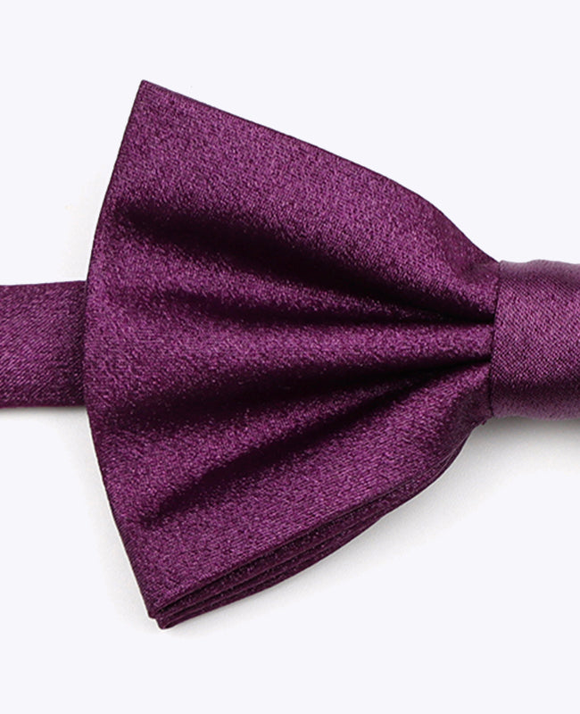 Noeud Papillon à Paillette Violet n°1 Homme en Polyester | Armand - Unipap's