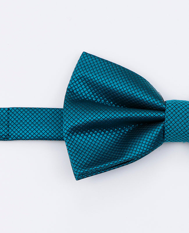 Noeud Papillon Bleu n°6 Homme en Polyester | Martin - Unipap's