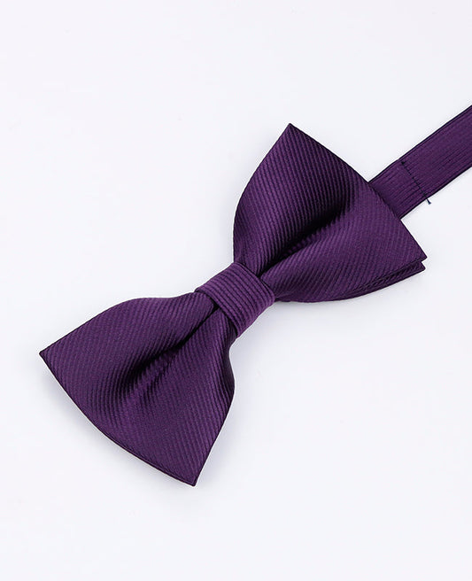 Noeud Papillon Violet n°2 Homme en Polyester | Lucien - Unipap's